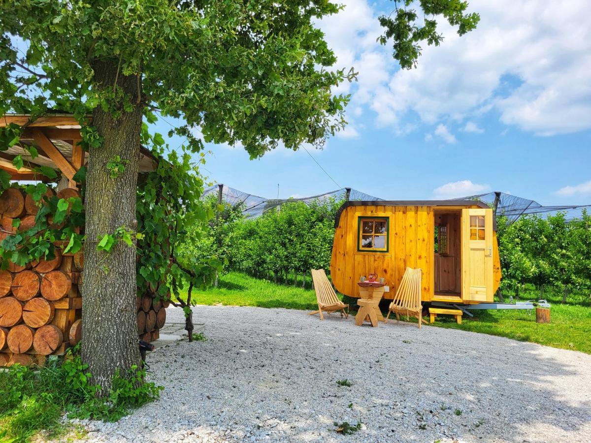 Villa Unique Wooden Holiday House In Nature Lukovica pri Domžalah Exterior foto